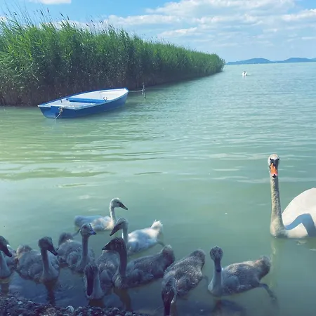 Сasa de vacaciones Balaton A Kertben - Közvetlen Vízparti Apartmanok, Csodálatos Panorámával