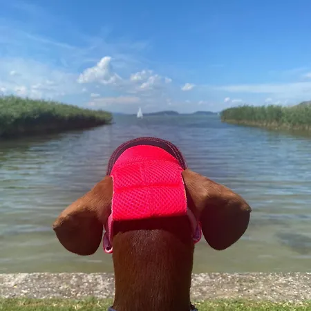 Balaton A Kertben - Közvetlen Vízparti Apartmanok, Csodálatos Panorámával *
