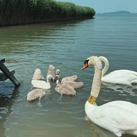 Balaton A Kertben - Balaton In The Garden - Beachfront With Beautiful View, Private Σπίτι διακοπών *